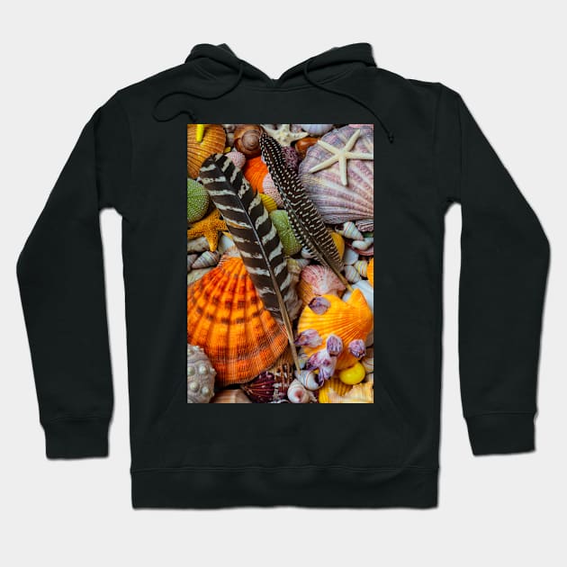 Feathers And Seashells Hoodie by photogarry